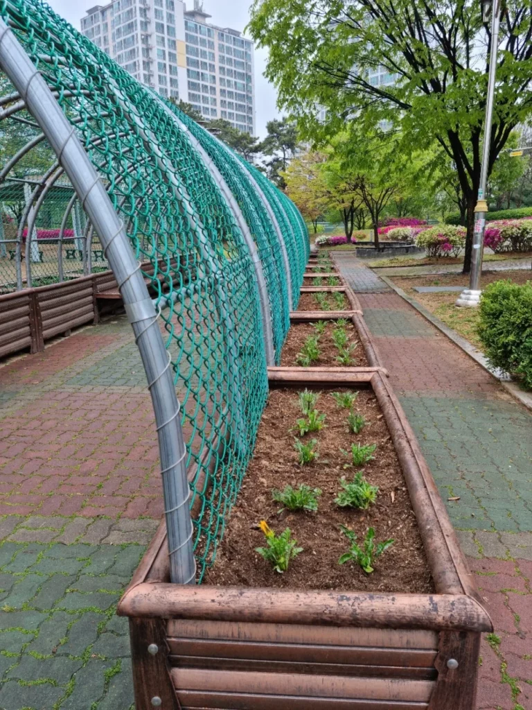 식물터널 유지관리
